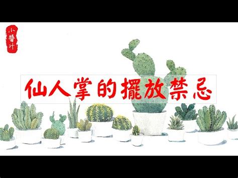 辦公室仙人掌擋煞|【辦公室 擋煞】辦公室風水佈局全攻略！植物擺放與煞氣破解法